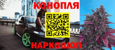 гидропоника Моздок