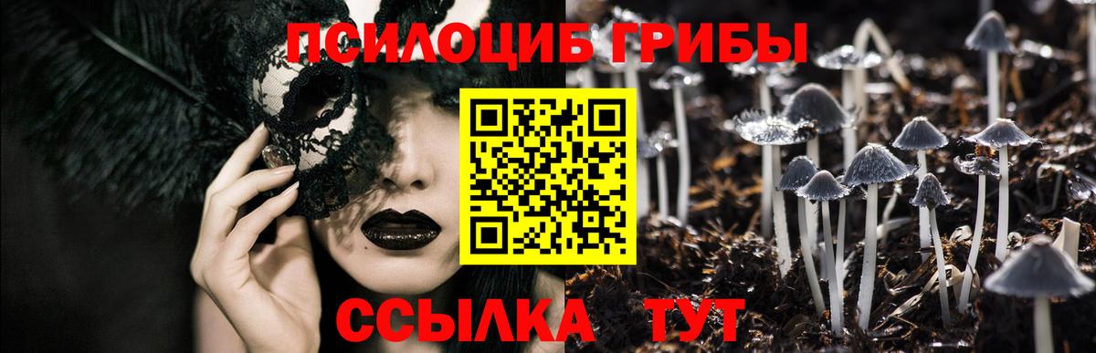 Псилоцибиновые грибы GOLDEN TEACHER Киржач